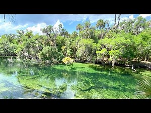 Camping at Blue Springs State Park: I found the best campsite!