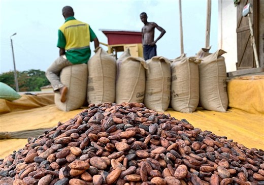 Government moves to convert GH¢5.8 billion cocoa debt owed to BoG and MoF