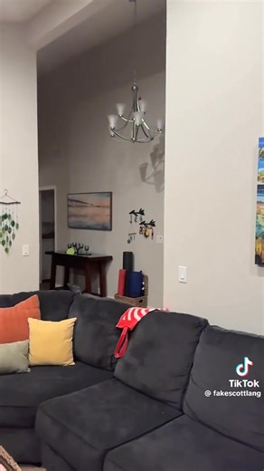 No cats were harmed in the making of this video! 😹🐾🧡⁠ ⁠ 📹️: fakescottlang on TikTok | Modern Cat magazine