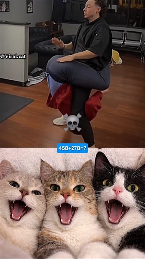 You have never seen a haircut like this before 🤣✂️ #funny #dance #cat #shorts