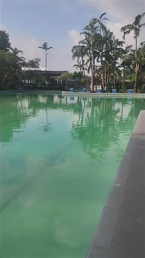 Swimming Time, Feels Like It's Your Own 11032026 #meditation