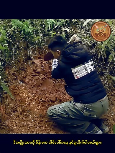 Building a Hidden Sanctuary from Scratch 🛠️🌲 #GeniusesAreAmongUs #SoloSurvival #WildernessArchitecture #MountainHome #SuccessMindset #OneManBuild #OffGridLiving #SurvivalArchitecture