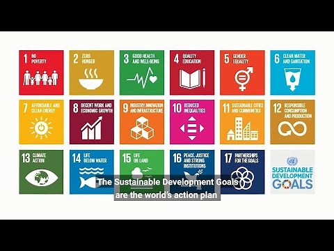 UN Chief on Decade of Action for the Sustainable Development Goals