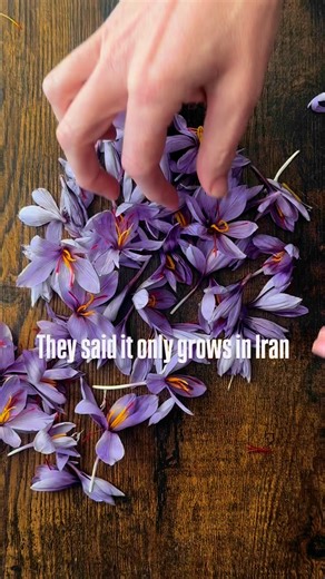 1.4K views · 17 reactions | They said it couldn’t be done…For...