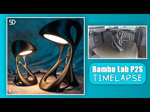 3D Printing the 'Flow Lamp' Organic Design Sculpture on the Bambu Lab P2S