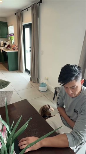 If I’m sitting down, my dachshund has to be on my lap or we have to be playing fetch