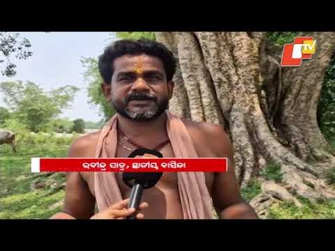 Uncertainty Looms Over RBI Paper Mill Project in Balasore; Land Acquired but Work Stalled