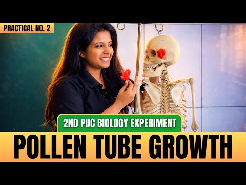 FULL Demo: Pollen Tube Growth 🌼🔬 | 2nd PUC Biology Practicals (E2) 💯