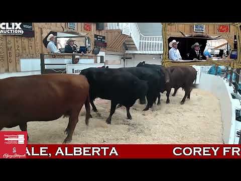 2024 Calgary Stampede International Livestock Auctioneer Championship