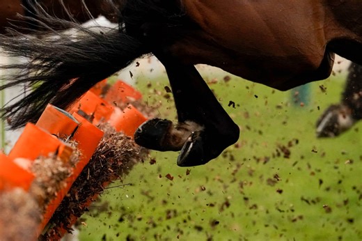 Hippisme : un cheval a été euthanasié après avoir remporté une course en Angleterre