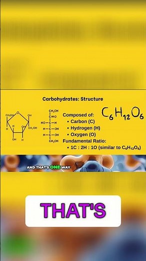 Carbohydrate vs. Macromolecule: What's the Difference?
