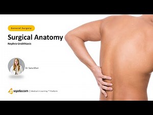 Nephro-Urolithiasis | Surgical Anatomy