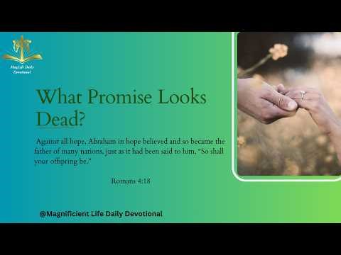 What Promise Looks Dead?|Magnificent Life Daily Devotion