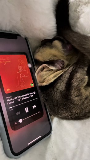 Niki - La La Lost You: Karaoke & Lyrics