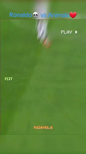 Cristiano Ronaldo: The Ultimate Animal Comparison