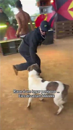 A rave is a dangerous place! dog and guy enjoying music and live