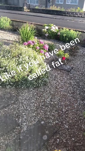 honey_scott.fan on TikTok