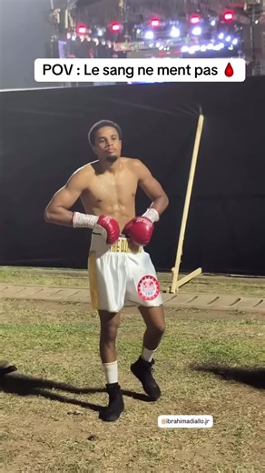 Understanding the Diallo Legacy in History