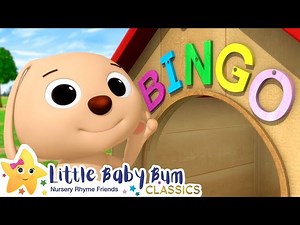 BINGO Song | Nursery Rhymes and Kids Songs | Baby Songs | Little Baby Bum - Videos For Kids