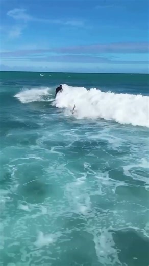 The Firewire Tomo Neutrino | The ultimate skateboard for the ocean. 🛹🌊