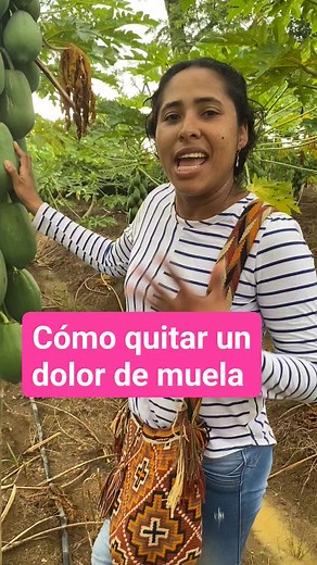 1.3M views · 10K reactions | Remedio natural para el dolor de muela | Angelicadelcampo | Facebook