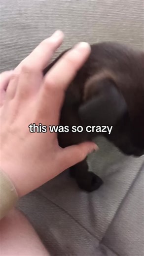 rem is so 4th wave emo #viral #fyp #emo #scottpilgrimvsmygpa #momjeans