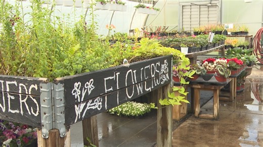 Sunshine Communities plant sale highlights work and pride of greenhouse team