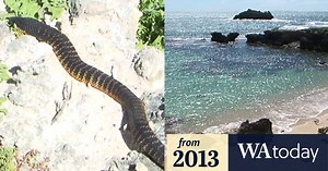 WA's mystery snake island