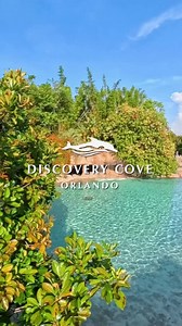 Indulge in the all-inclusive experience at #DiscoveryCove, prepare for a day of unwinding and we'll do the rest 💙 When you spend the day with us all of your meals, select beer & wine, tons of snacks, clean towels, secure lockers, animal-safe sunscreen, wetsuits and gear, and more are ALL included in admission. Paradise is just waiting on you. | Discovery Cove