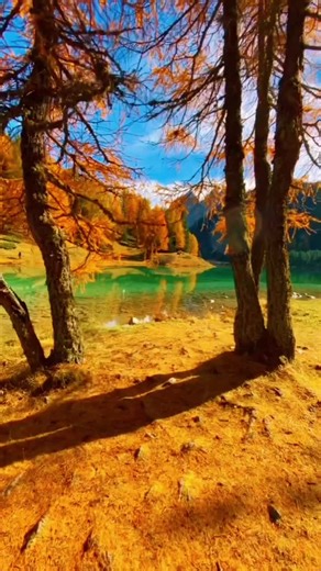 Vidéos de Babette zaly 🙏🤝🤝🤲🫶 (@babette231) avec conquest of paradise - Musique Fr