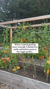 956K views · 17K reactions | Shop my book here:...