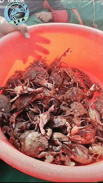 #fishing #seafishing #snapshot #foryou