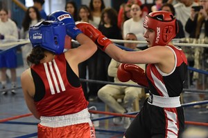 Après avoir organisé la dernière manche régionale de Boxe éducative, Bourges va accueillir le critérium national