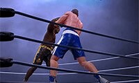 Play Ultimate Boxing online at Mousebreaker.com