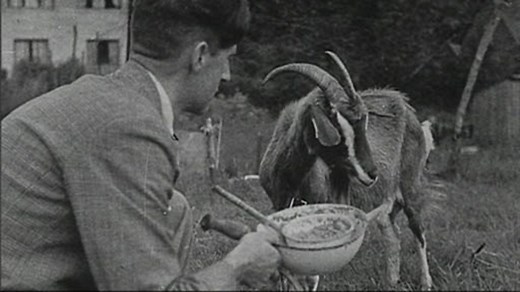 'Animal Farm' - historical context (pt 3/3)