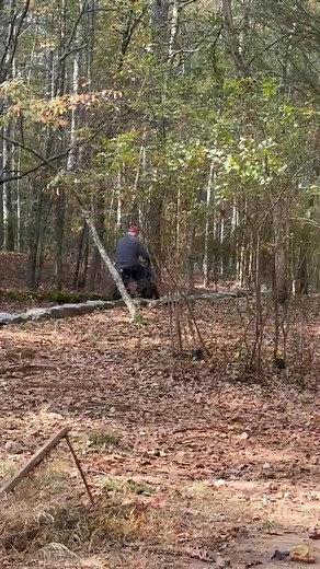 My new electric bicycle | John K. Phillips