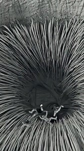 1.7K views | Dune Part Two : Behind the scenes | TheThings | Facebook