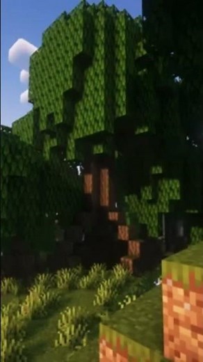 TOP 10 BEST minecraft Mods for Java!!!