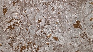 Texture, Golden, Bronze. Free Stock Video