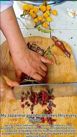 Cutting Wild Red Fern: Spring's Hidden Delicacy! 🌿🍽️