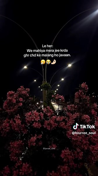 Ve mahiya mera jee krda ghr chad ke malang ho javaan.🤧😭🤌🏻 #fyp #tiktokviral #foryoupageofficiall #fyp #blurree_soul