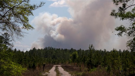 Georgia wildfires: New details revealed in possible causes of blazes