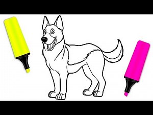 Coloring for Kids with German Shepherd Dog - Coloring Pages for Children