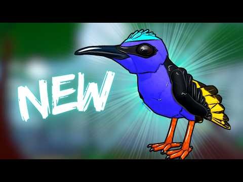 The NEW Tanager on Feather Family