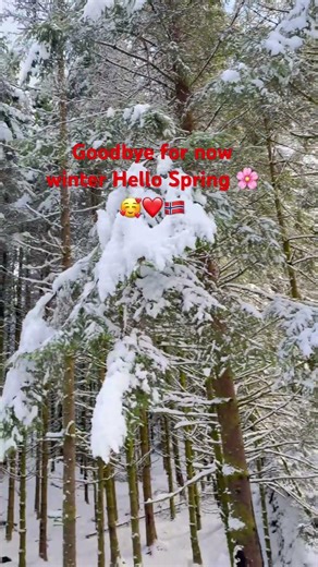 #travelblogger #travel #norway #norwayshorts #norway_nature #norwaylife