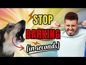 How to Stop Dog Barking Immediately | Effective Dog Training Tips
