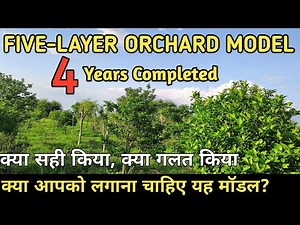 4 years of Subhash Palekar Five-layer Orchard Model | Natural Farming Made Easy