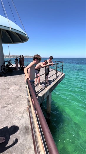 Double clap dive at Brighton jetty!! #beach #beutiful #hot