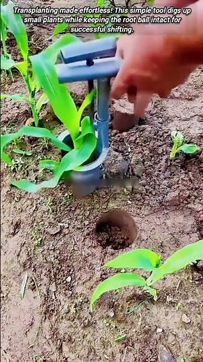 See How This Simple Tool Makes Plant Shifting Easy Now.