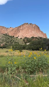 147K views · 293 reactions | It’s unavoidable | Abby Joselyn | Facebook